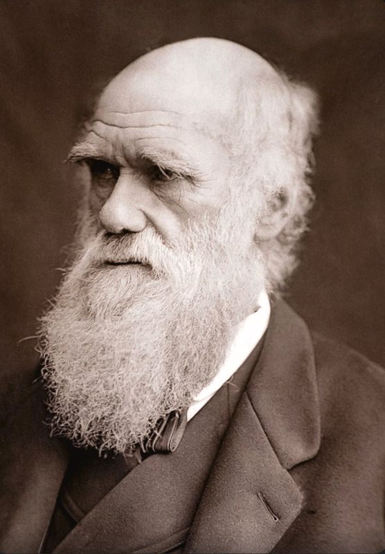 Portrait of Charles Darwin
